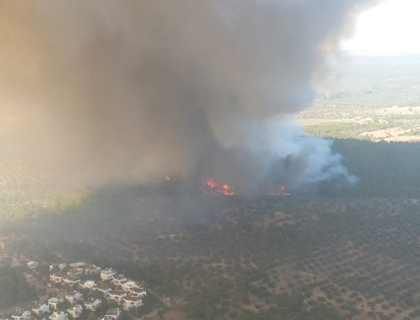 Çanakkale yangınında dehşete düşüren görüntüler! - Resim: 3