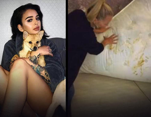 Yotube fenomeni rezil oldu! - Resim: 1