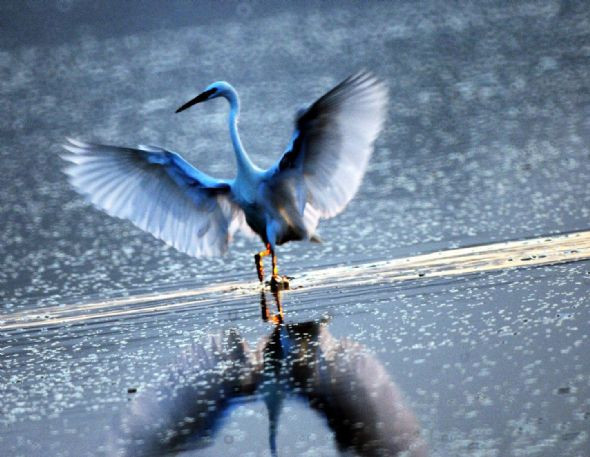 Hayran bırakan manzaralar - Resim: 2