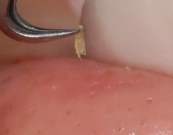 You Tube'da binlerce kez izlendi hiç böylesi yok! - Resim: 4