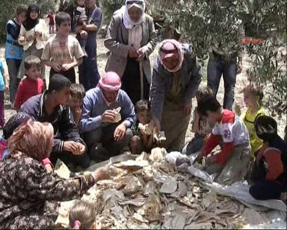 Suriye sınırında insanlık dramı - Resim: 1