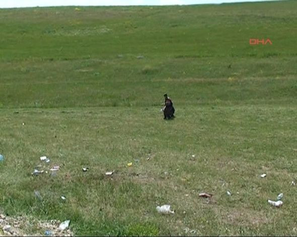 Erzurum'da katliam gibi kaza! - Resim: 3