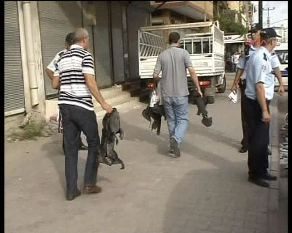 Adana'da patlama! - Resim: 4