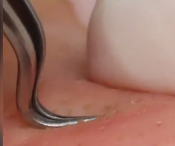 You Tube'da binlerce kez izlendi hiç böylesi yok! - Resim: 2