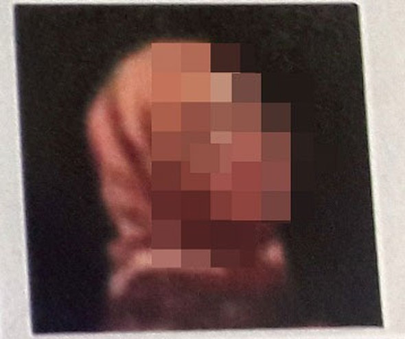 FETÖ'nün iğrenç evlilik tezgahı! Kızların fotoğraflarını yollayıp... - Resim: 4