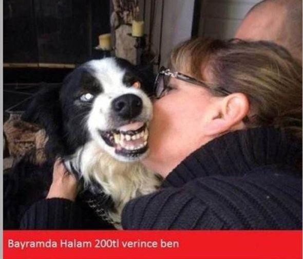 Bayram capsleri kırdı geçti "Bırak o elindeki baklavayı" - Resim: 4