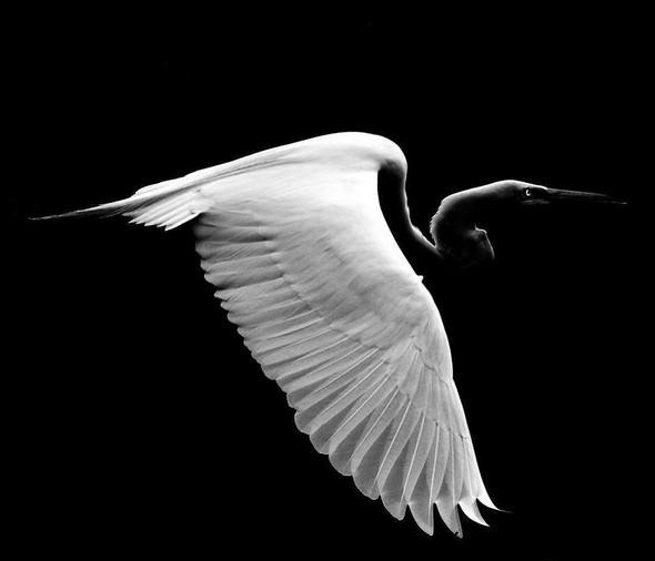 Henüz 13 yaşında ama kimse onun bu fotoğrafları çektiğine inanmıyor - Resim: 2