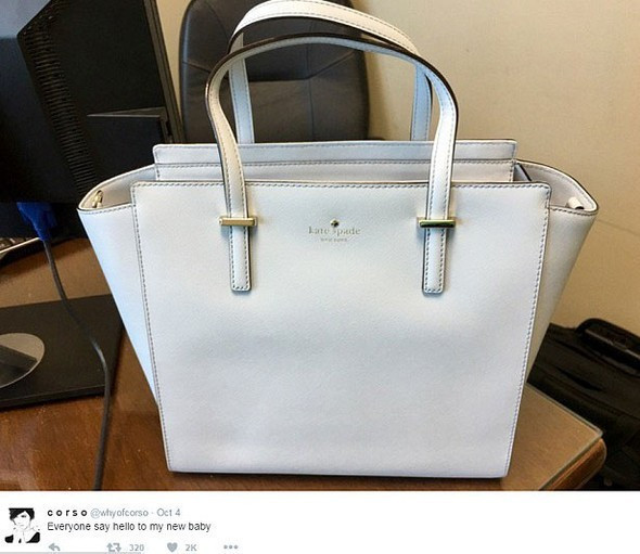 Bu çanta ne renk Twitter'ı sallayan tartışma - Resim: 1