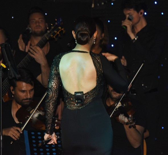 Ebru Gündeş ayrılık kararı sonrası ilk kez sahnede - Resim: 2