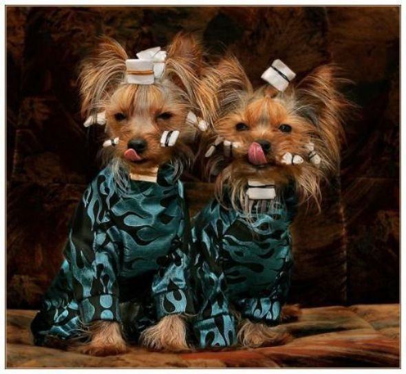 Günün en anlamsız fotoğrafları! - Resim: 2