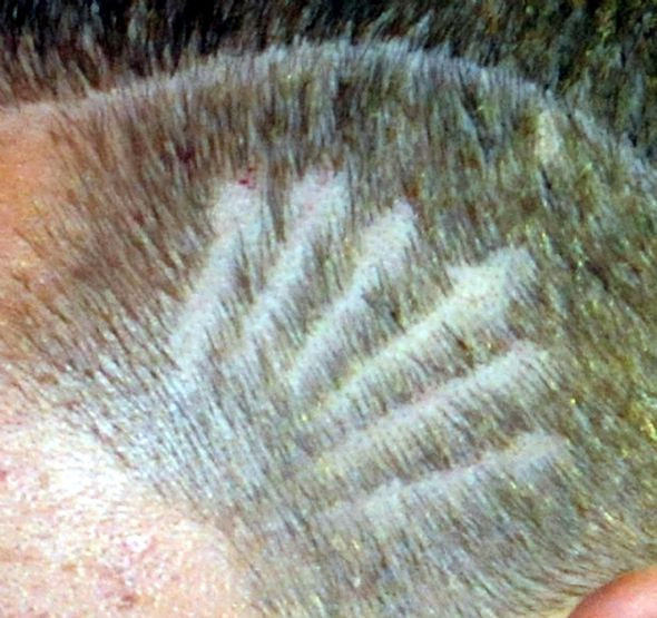 Onun CHP aşkı bambaşka! - Resim: 4