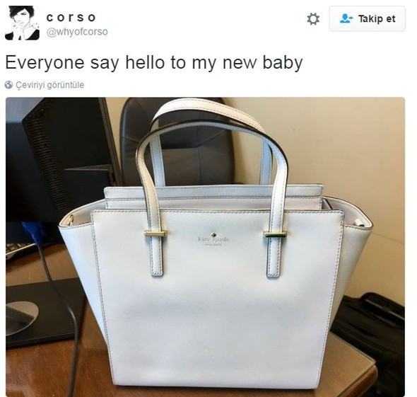 Bu çanta ne renk Twitter'ı sallayan tartışma - Resim: 2