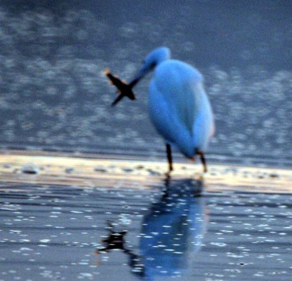 Hayran bırakan manzaralar - Resim: 4
