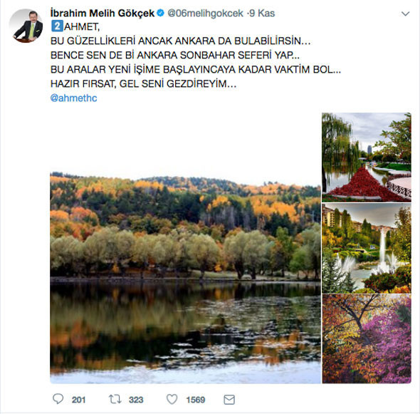 'İşsizim' diyen Gökçek yeni işe başlayacağını duyurdu! Ne iş yapacak? - Resim: 2