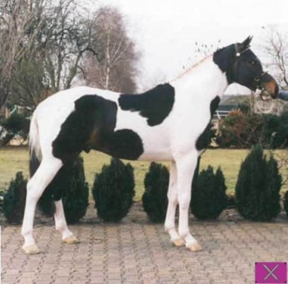 Günün en tıklanan ve gülünen kareleri - Resim: 2