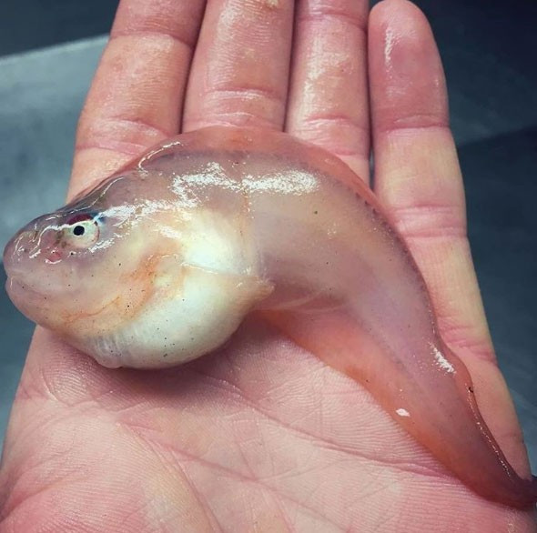 'Onunda bir güzelliği var' dedi ama görenler hayret etti! - Resim: 2