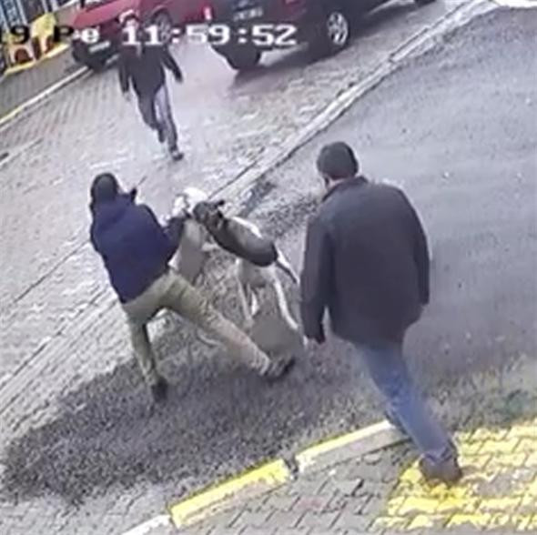 Sakarya'da sokak ortasında pitbull dehşeti!  - Resim: 4
