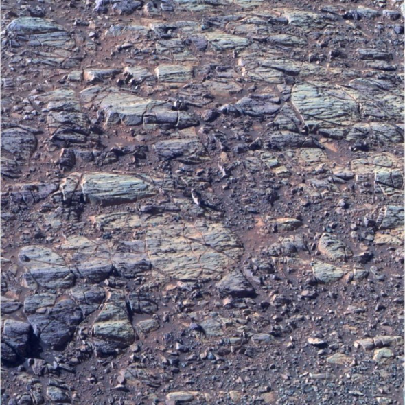 14 yıl önce uzaya gitmişti her an kriz geçirebilir - Resim: 3