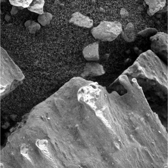 14 yıl önce uzaya gitmişti her an kriz geçirebilir - Resim: 4