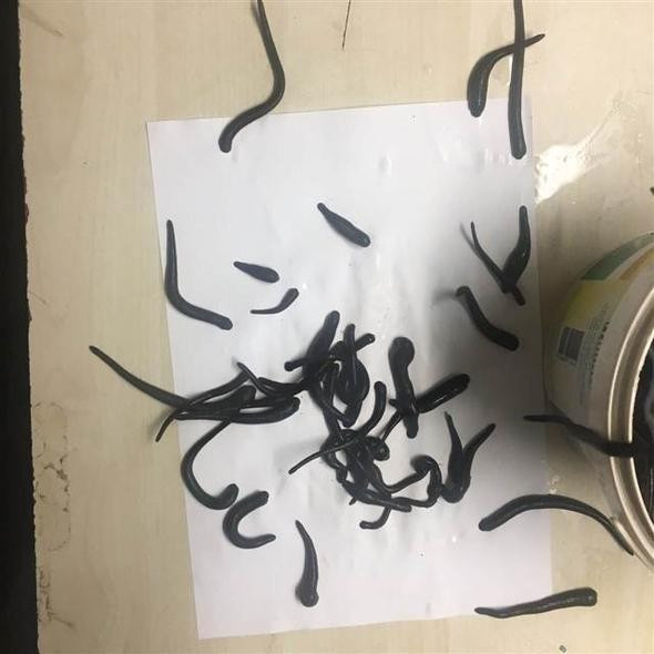 Havalimanı'nda kadın çorabından çıkanlar görenleri şok etti! - Resim: 1