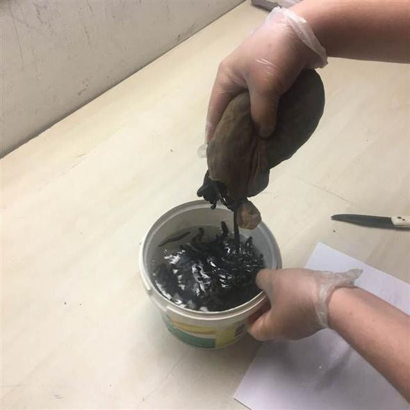 Havalimanı'nda kadın çorabından çıkanlar görenleri şok etti! - Resim: 2