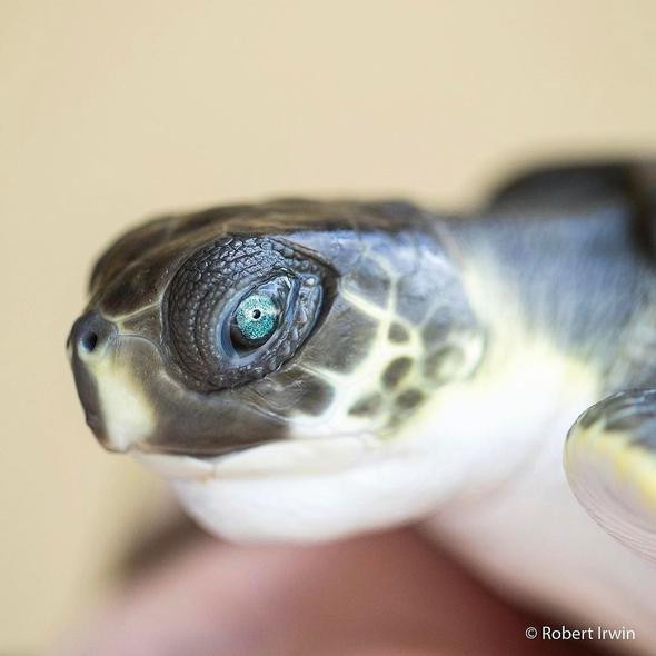 Henüz 13 yaşında ama kimse onun bu fotoğrafları çektiğine inanmıyor - Resim: 4