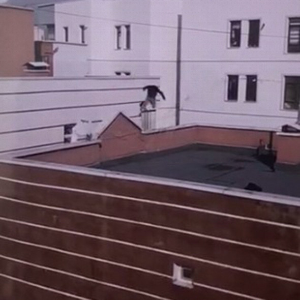 Korkunç görüntü: Damdan dama atlamada feci son! - Resim: 2