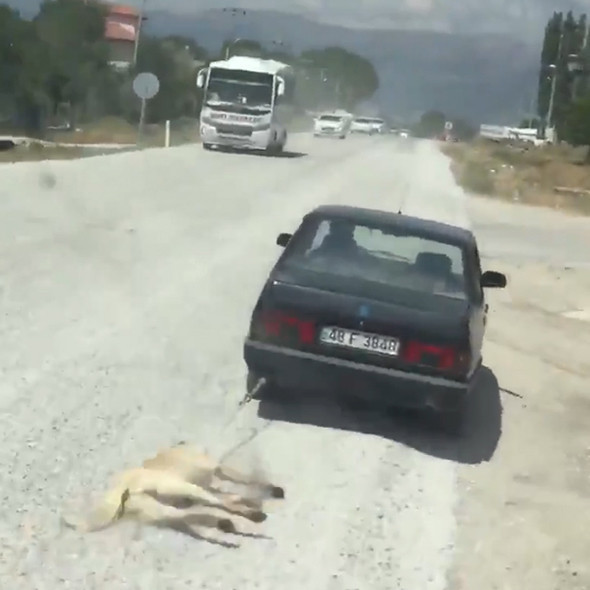 Sosyal medya ayağa kalktı: Polis her yerde onu arıyor! - Resim: 2