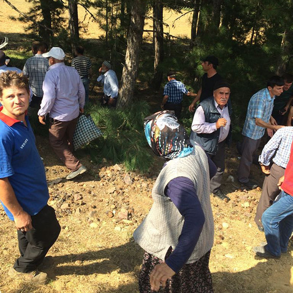 Düğün dönüşü feci kaza: Çok sayıda ölü ve yaralı var! - Resim: 2