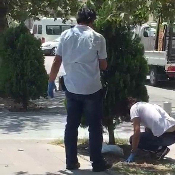 Akıl almaz olay: Bebeği ağaç altına gömdü! - Resim: 2