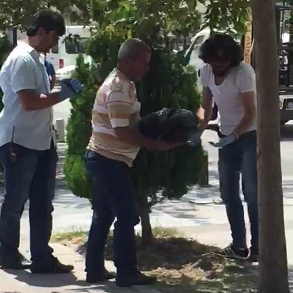 Akıl almaz olay: Bebeği ağaç altına gömdü! - Resim: 4