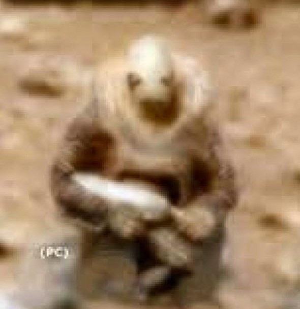 Mars'ta yaşam var mı? Dünya'yı sarsan fotoğraf! - Resim: 3