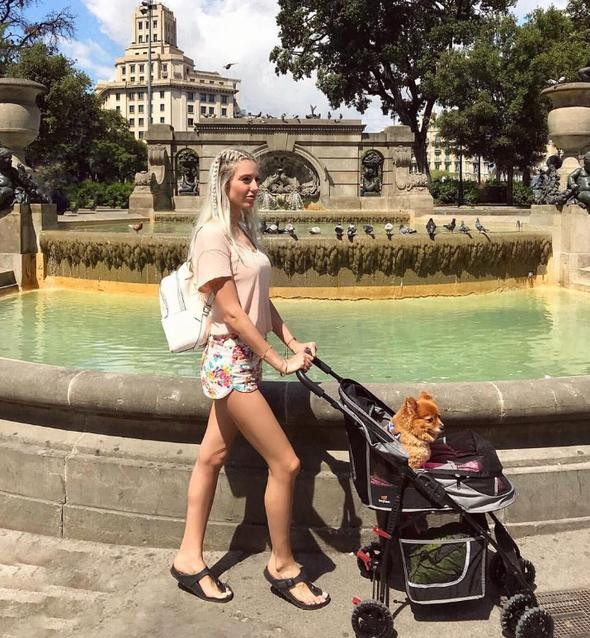 Herkes pusette bebek gezdirdi, o köpeğini!  - Resim: 2