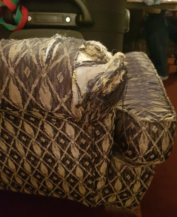 Sosyal medyada ifşa ettiler! Kan lekeleri kirli banyo... - Resim: 2