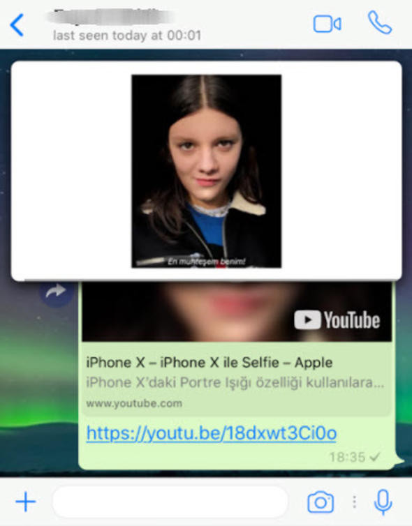Whatsapp'ın bomba özelliği Türkiye'de herkese açıldı! - Resim: 4