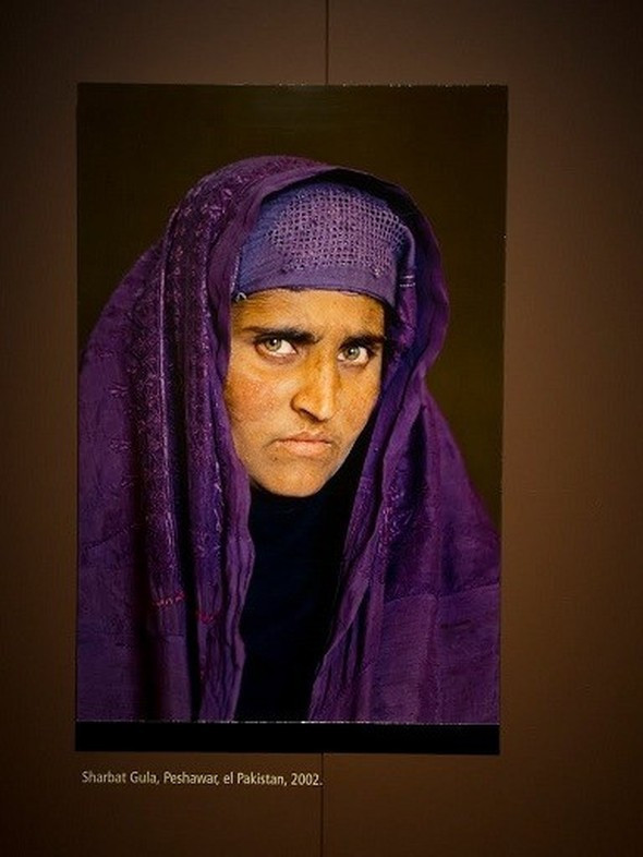 Afgan kızı Şerbet Gula'dan şoke eden haber! - Resim: 4