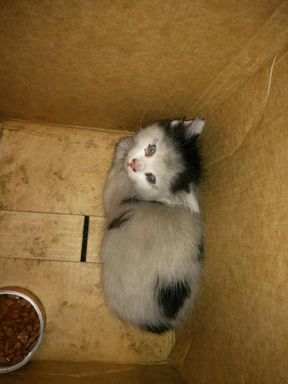 Bu fotoğraf sizi rahatsız etti mi öyleyse itiraf dahi edemiyorsunuz - Resim: 3