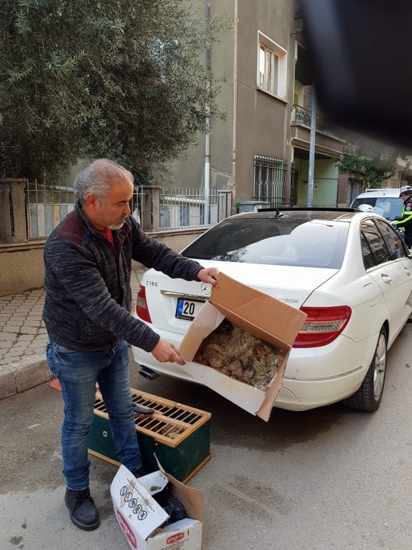 Lüks otomobilden çıktı! Korkunç manzara - Resim: 3