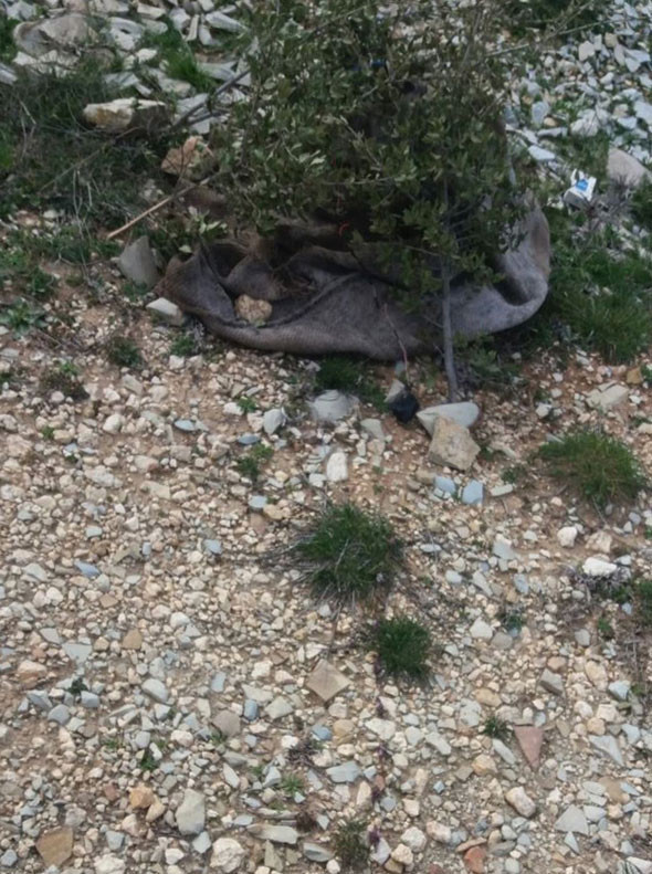 Teröristlerin yaptığına bakın! Onları bile tuzaklamışlar!... - Resim: 4