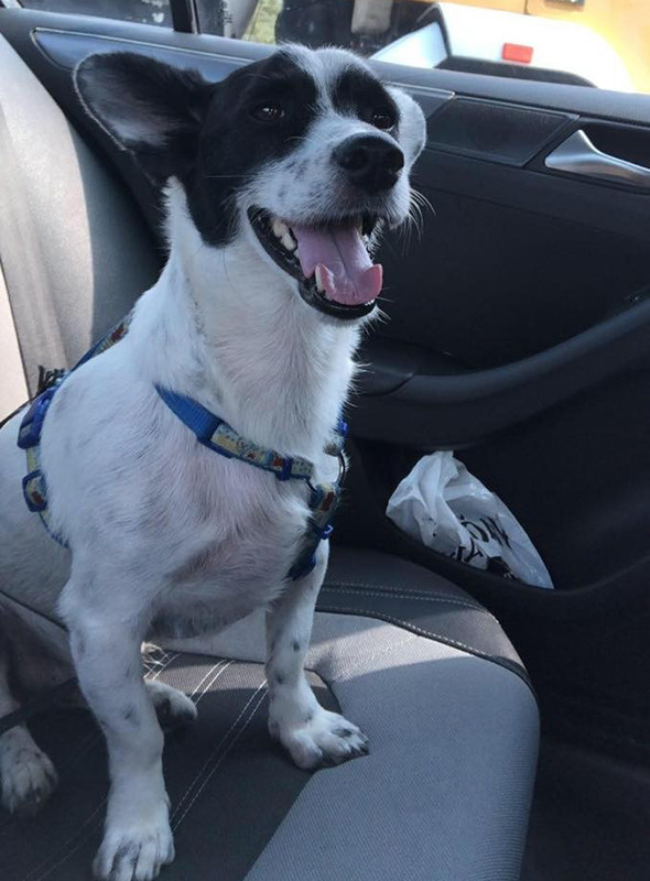 Gözyaşları içinde haykırdı: 'O bensiz ölür' - Resim: 3