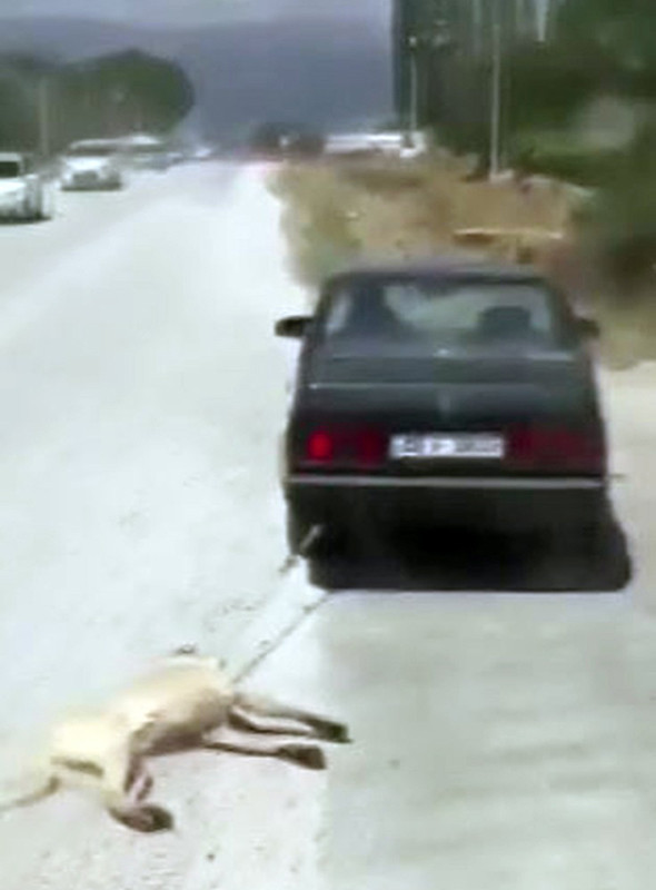 Sosyal medya ayağa kalktı: Polis her yerde onu arıyor! - Resim: 3