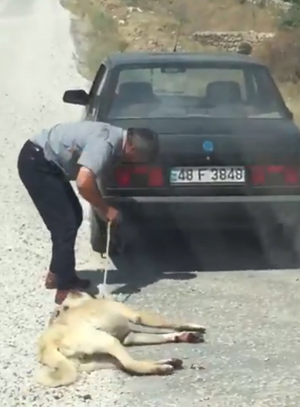 Sosyal medya ayağa kalktı: Polis her yerde onu arıyor! - Resim: 4