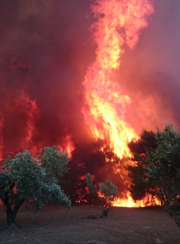 Çanakkale yangınında dehşete düşüren görüntüler! - Resim: 1
