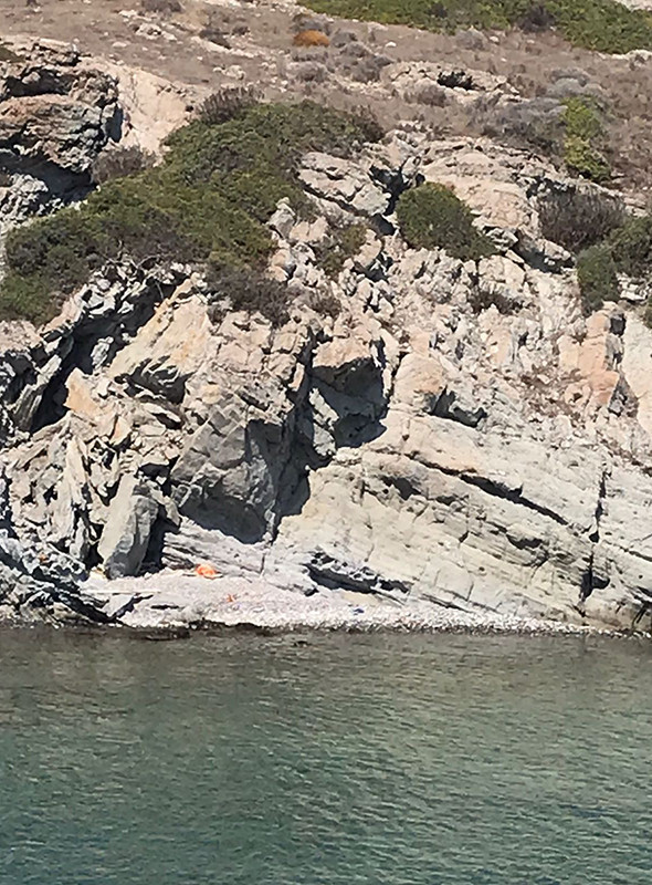 Ünlü iş adamından alkışlanacak hareket! Koy koy gezip... - Resim: 4