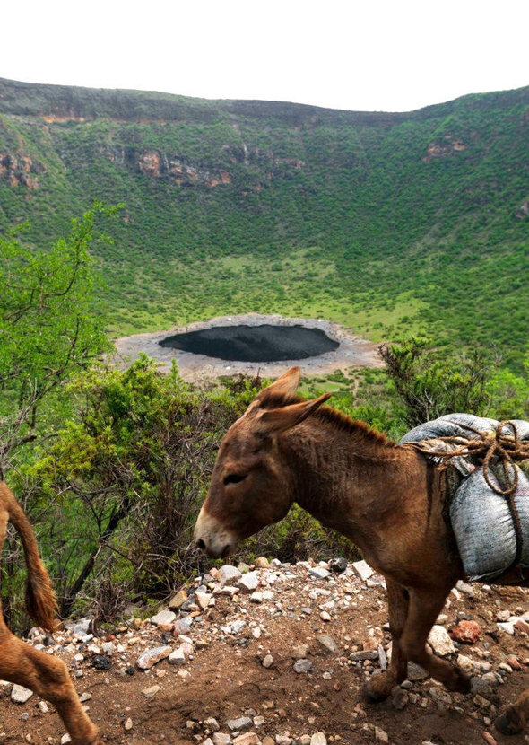 Ekmek parası için çırılçıplak suya dalıyorlar! - Resim: 4