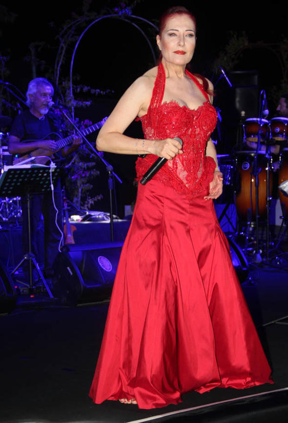 Mehmet Ali Erbil'in zor günleri! - Resim: 2