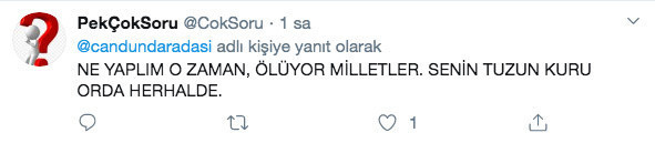 Can Dündar'dan koronavirüs üzerinden tepki çeken iddia - Resim: 2