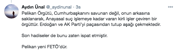 Erdoğan'ın eski metin yazarı Aydın Ünal'dan çarpıcı iddia: Pelikan, yeni FETÖ'dür - Resim: 0