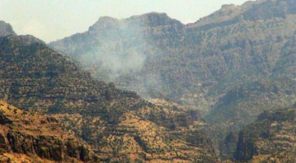 Cudi Dağında operasyon - Resim: 1