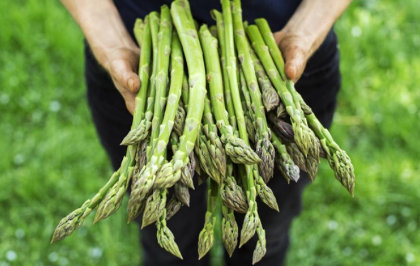 Kuşkonmazın faydaları nelerdir? Düşük riskini ortadan kaldırıyor! - Resim: 2